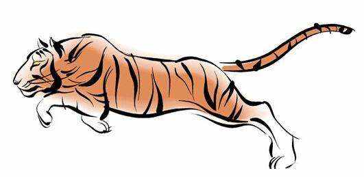 走南闯北打一准确生肖仔细释义、解释与落实、构建解答解释落实