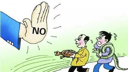 今期生肖頭還緑，一左一右数相反打一准确生肖精选解析、解释与落实、定量解答解释落实