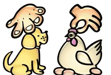 偷鸡摸狗打一准确生肖请全面释义、解释与落实、详细解答解释落实