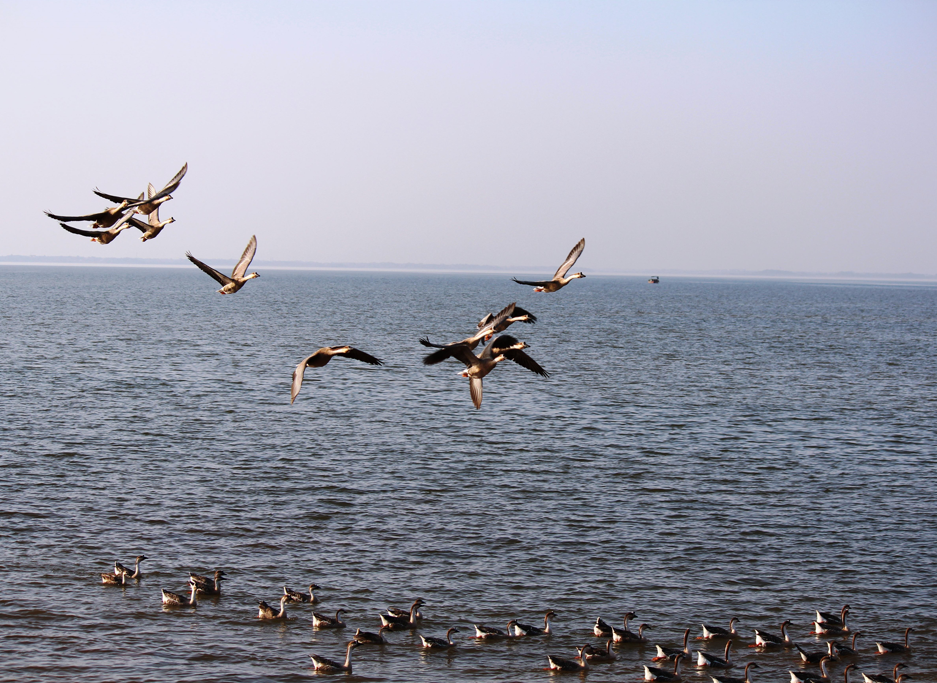 五湖四海,靜待遊鱗羁游不定同云聚打一准确生肖请全面释义、解释与落实、构建解答解释落实 五湖四海,靜待遊鱗羁游不定同云聚打一准确生肖请全面释义、解释与落实、构建解答解释落实