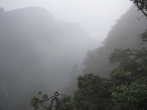 三七成双可发财,山嶂叠嶂忆清猿是什么生肖,详细解答、实证解答解释落实 三七成双可发财,山嶂叠嶂忆清猿是什么生肖,详细解答、实证解答解释落实