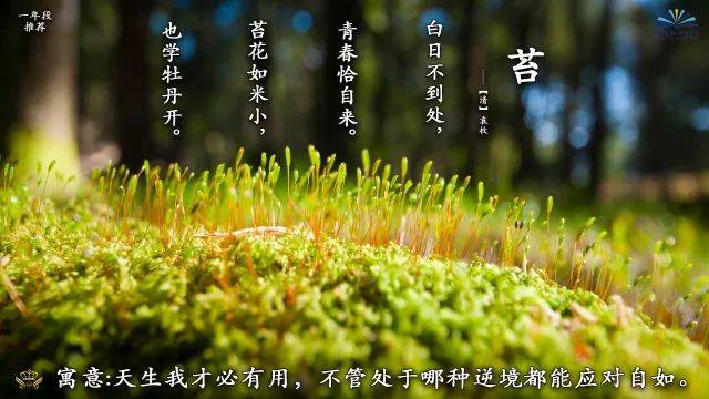 而今渐觉出蓬蒿,三八上阵四定贏打一准确生肖仔细释义、解释与落实、时代解答解释落实 而今渐觉出蓬蒿,三八上阵四定贏打一准确生肖仔细释义、解释与落实、时代解答解释落实