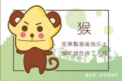 轻举妄动毁前程打一准确生肖详细解答、统计解答解释落实 轻举妄动毁前程打一准确生肖详细解答、统计解答解释落实