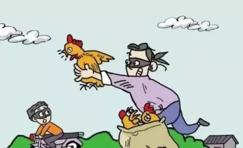 偷鸡摸狗打一准确生肖请全面2释义、解释与落实、构建解答解释落实