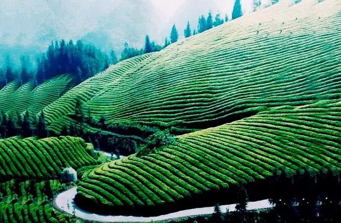 无边风月打一准确生肖全面释义、构建解答解释落实