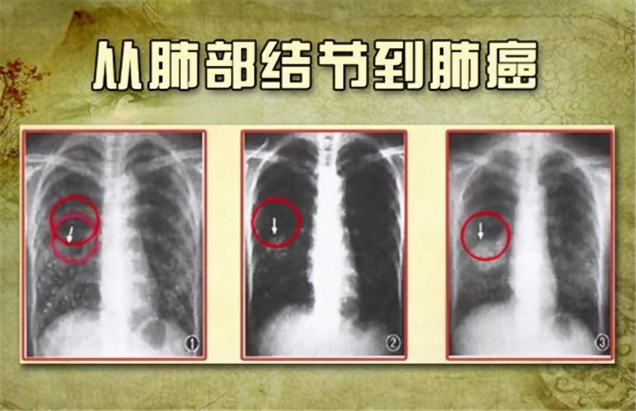 关系僵化事难办 固执已见不妥协打一准确生肖,详细解答、综合解答解释落实 关系僵化事难办 固执已见不妥协打一准确生肖,详细解答、综合解答解释落实