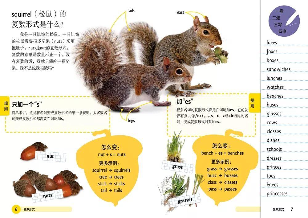 酷署難耐打一准确生肖的警惕虚假宣传-全面释义、构建解答解释落实