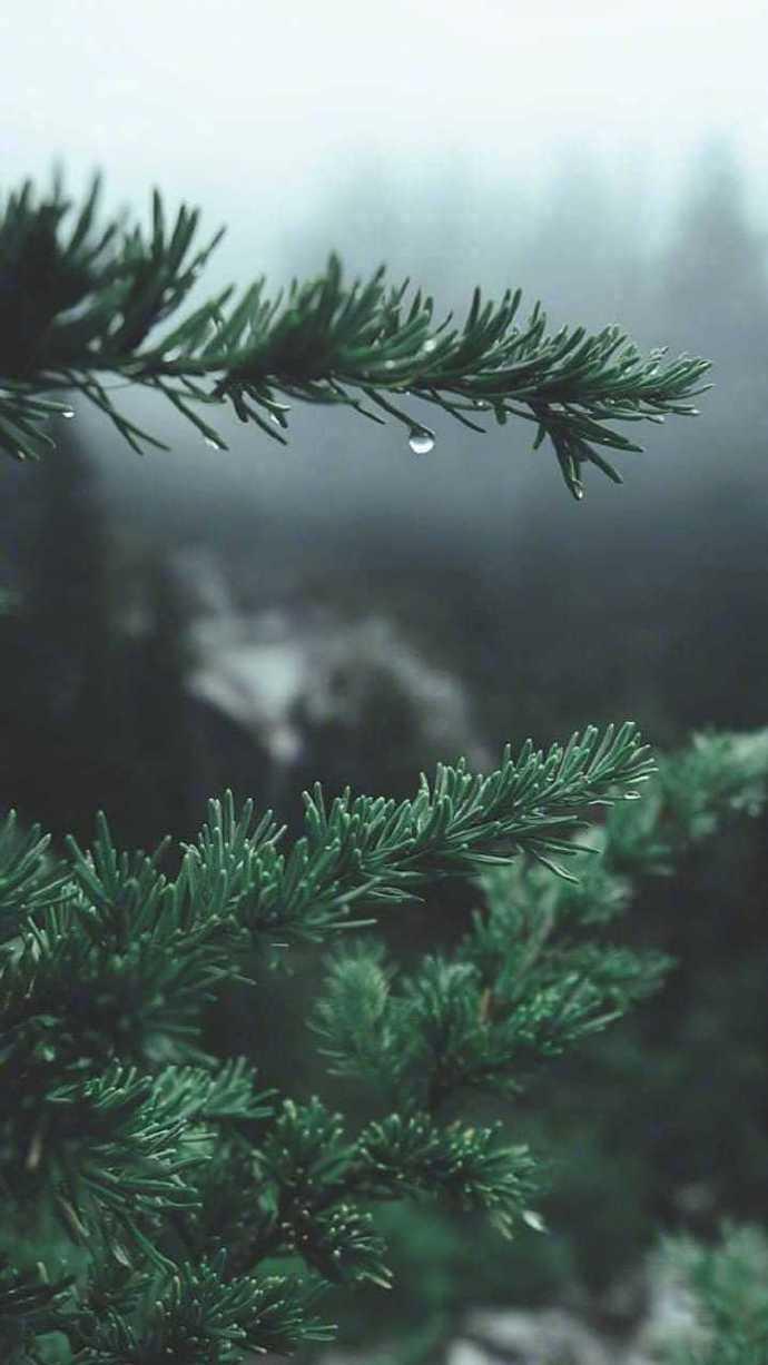 而今渐觉出蓬蒿，三八上阵四定贏打一准确生肖、警惕虚假宣传-全面释义、深度解答解释落实